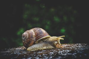 企業研究におけるストレス要因の調査方法とは？
