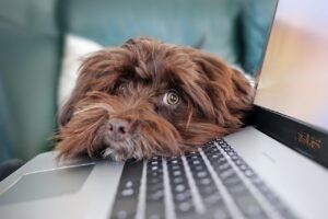 動画編集を在宅で行う際のストレス少ない仕事のコツは？