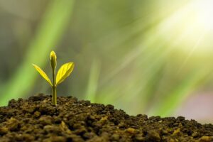 ストレス少ない仕事での転職成功例はどのようなものがある？