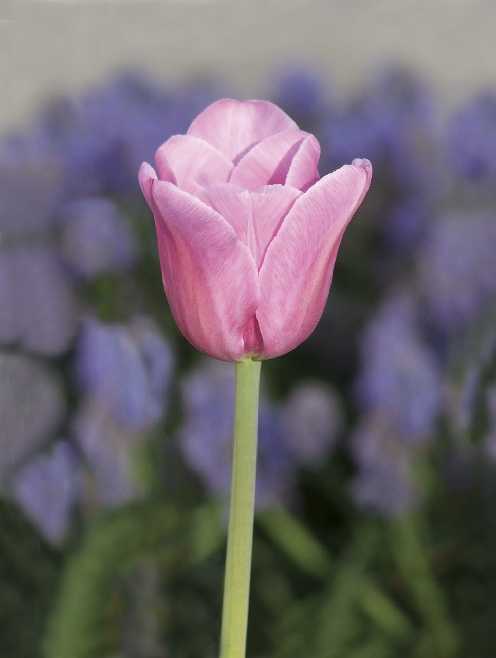 一人でできる仕事に転職するためのポイントは？