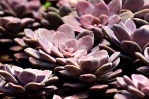 編集の仕事でストレスフリーになるためのコツは？