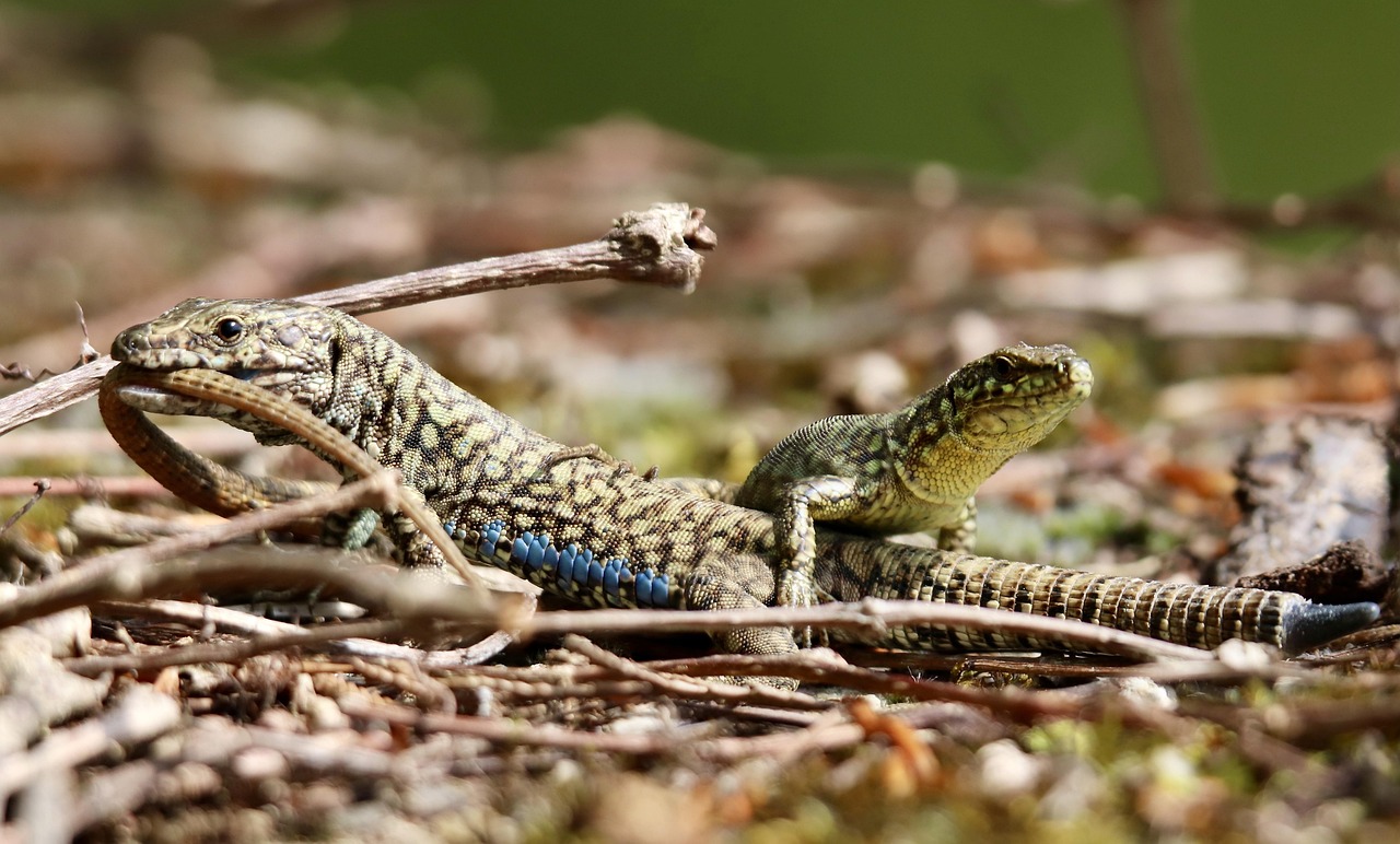 補助業務への転職は楽にできるのか？