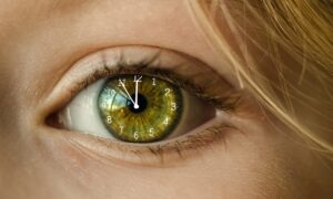 入社前に確認すべき環境とはどのような方法で調べるべきですか？