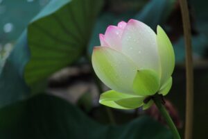 内定後に後悔しないためのチェックポイントは？